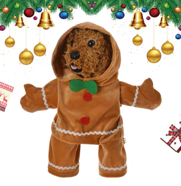 Festive Santa Pet Costume π
πΎ