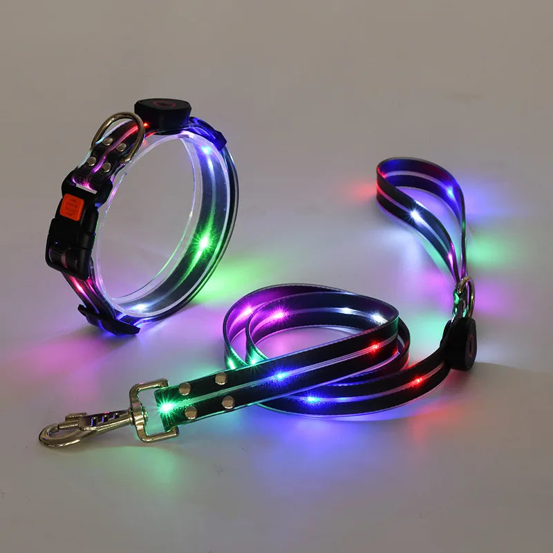 GlowWalk LED Dog Collar & Leash Set | USB Rechargeable Light-Up Walking Lead
