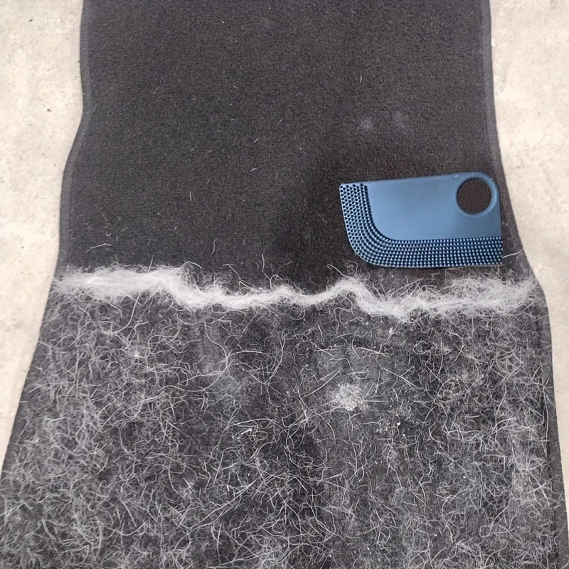 Pet Hair Removal Scraper