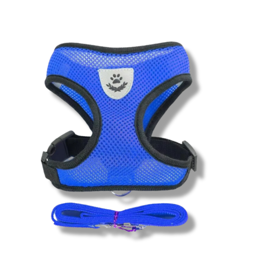 Cat Harness with Leash