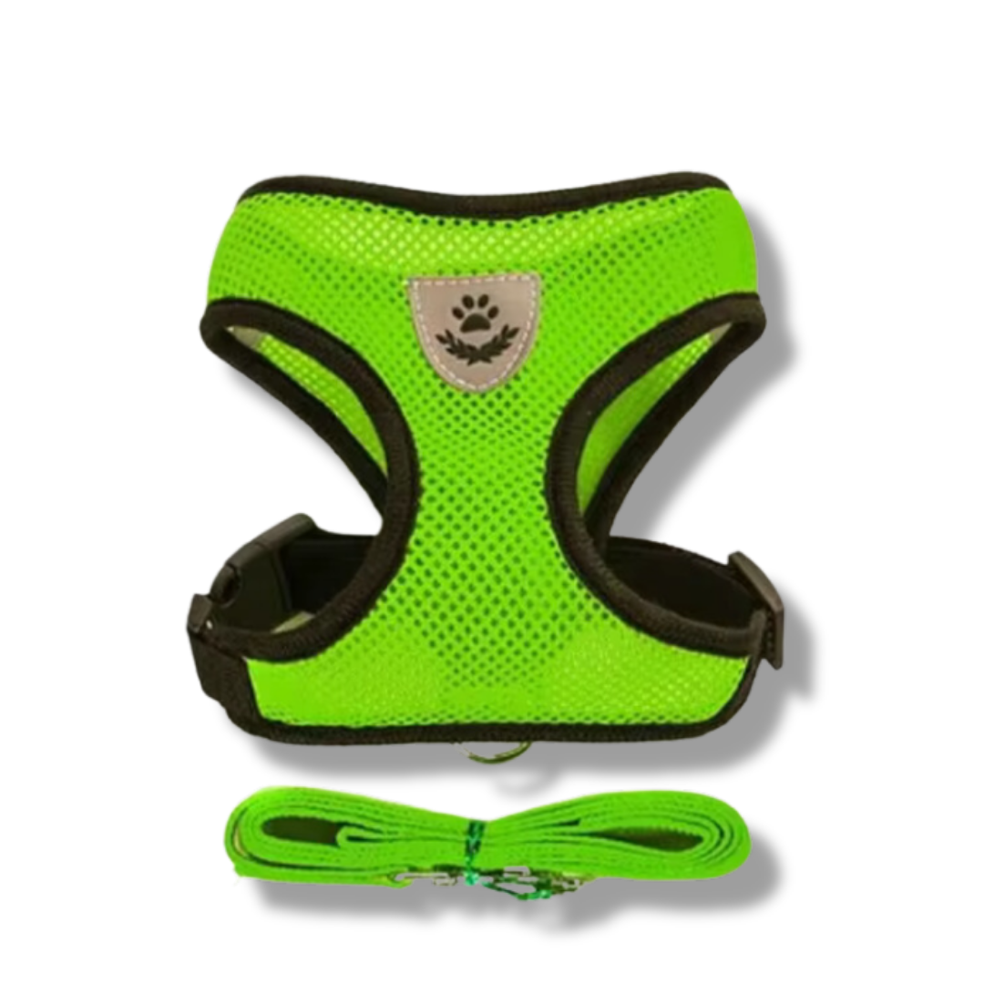 Cat Harness with Leash