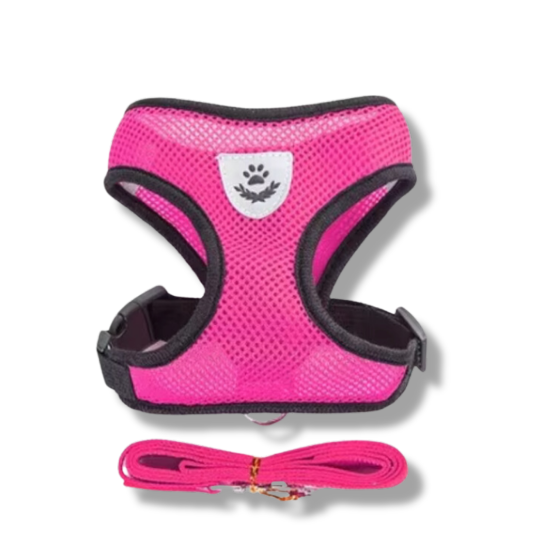 Cat Harness with Leash