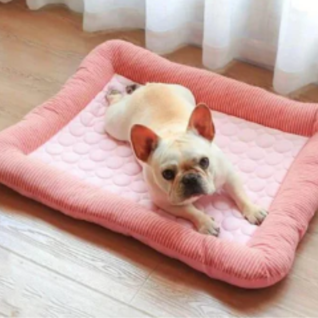 Cooling Bed for Dogs