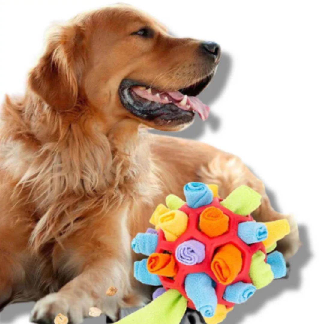 Snuffle Ball - Interactive Treat Game