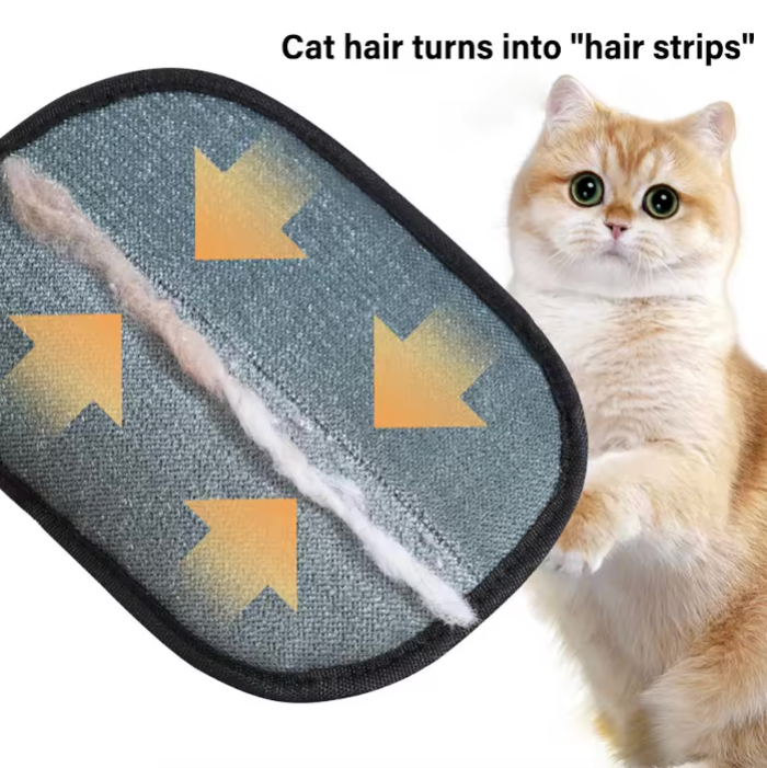 Double-Sided Pet Hair Removal Glove