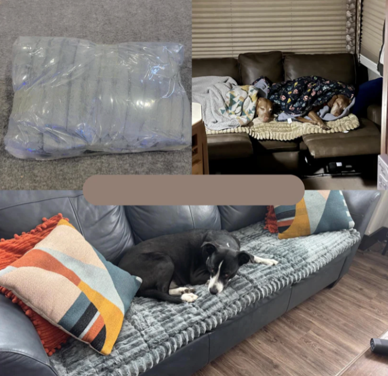 PawHaven – Flannel Quilted Sofa Pad