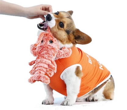 Lobster - Interactive Dog Toy XX