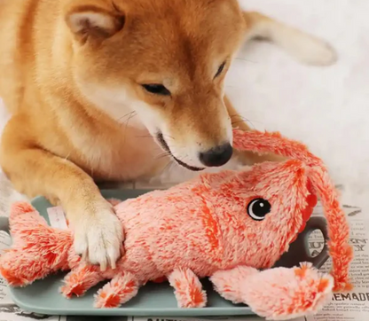 Lobster - Interactive Dog Toy XX