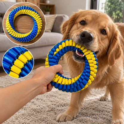 Interactive Nylon Rope Dog Toy 🐶🪢