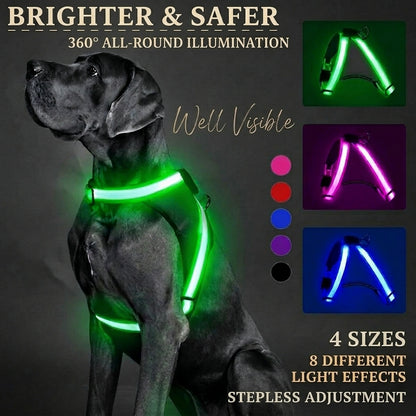 GlowTrail LED Dog Harness