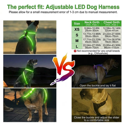 GlowTrail LED Dog Harness