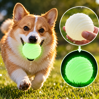 GlowBounce – Glow-in-the-Dark Dog Balls 🌙🎾