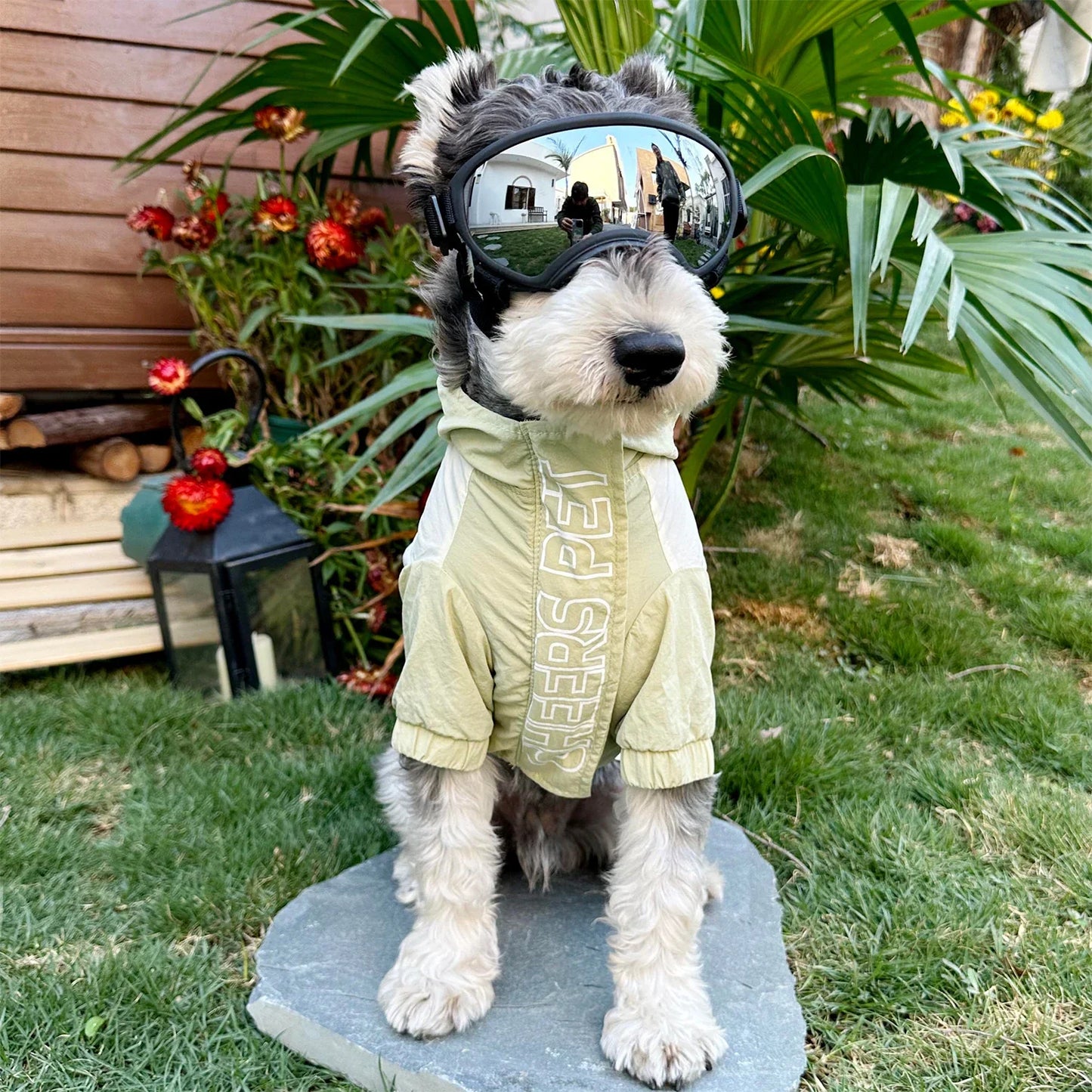 PawShield Dog Goggles UV Protection Sunglasses