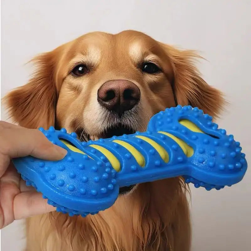 Squeaky Rubber Bone Chew Toy