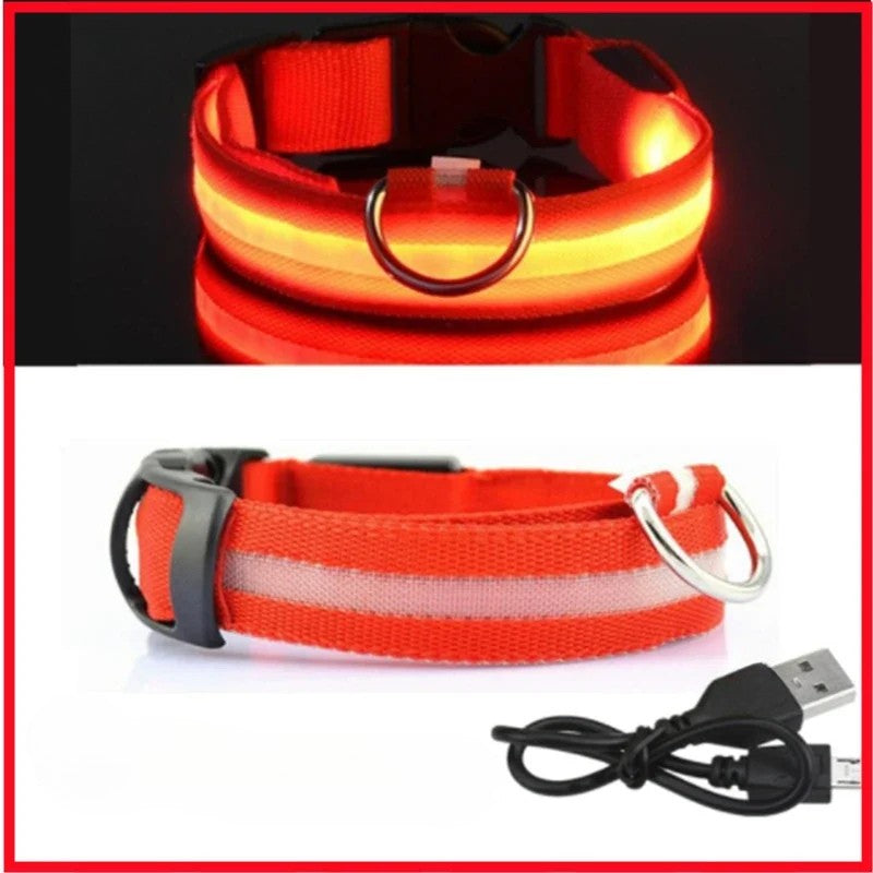 LED Luminous Dog Collar – USB Rechargeable & Detachable Night Safety Collar for Pets