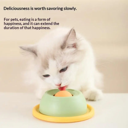 Cat Slow Feeder Bowl