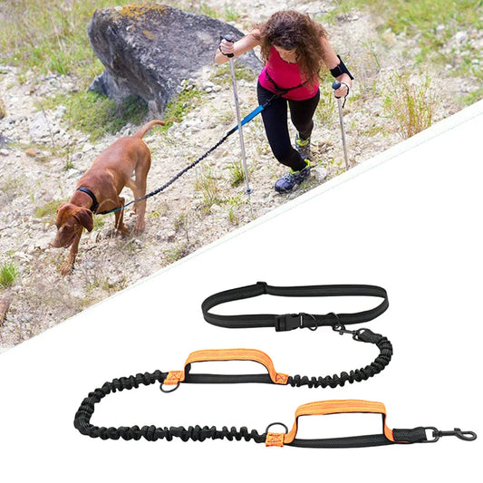 Reflective Dual-Elastic Hands-Free Dog Leash