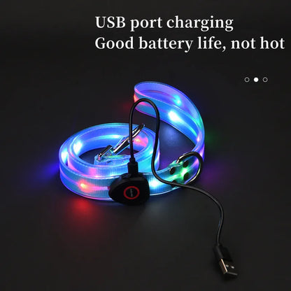 GlowWalk LED Dog Collar & Leash Set | USB Rechargeable Light-Up Walking Lead