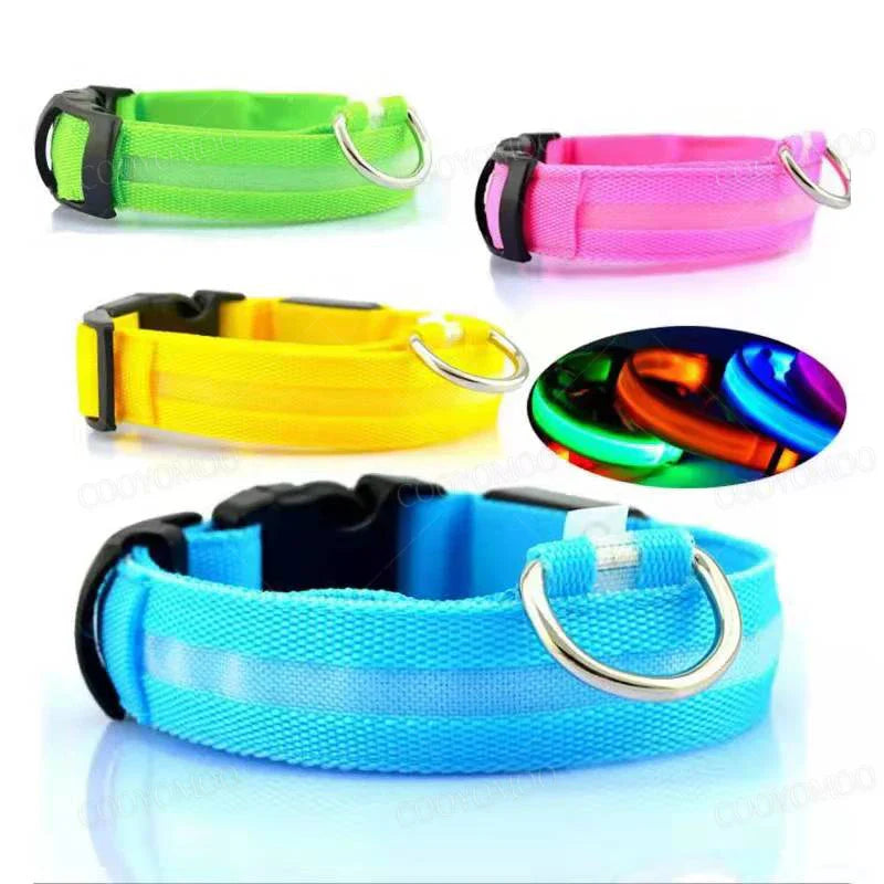 LED Luminous Dog Collar – USB Rechargeable & Detachable Night Safety Collar for Pets