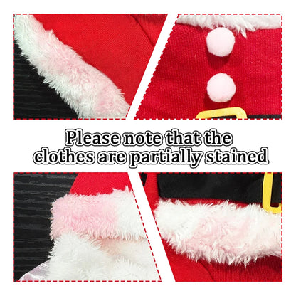 Festive Santa Pet Costume 🎅🐾