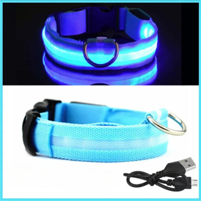 LED Luminous Dog Collar – USB Rechargeable & Detachable Night Safety Collar for Pets