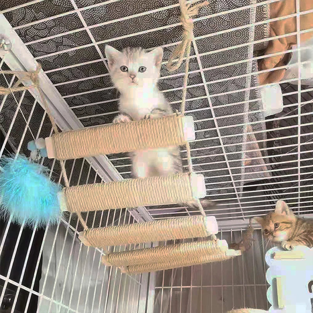 ClimbPaws - Wooden Sisal Cat Climbing Bridge & Ladder