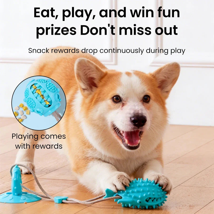 TugMaster – Interactive Suction Tug Toy 🐶💪