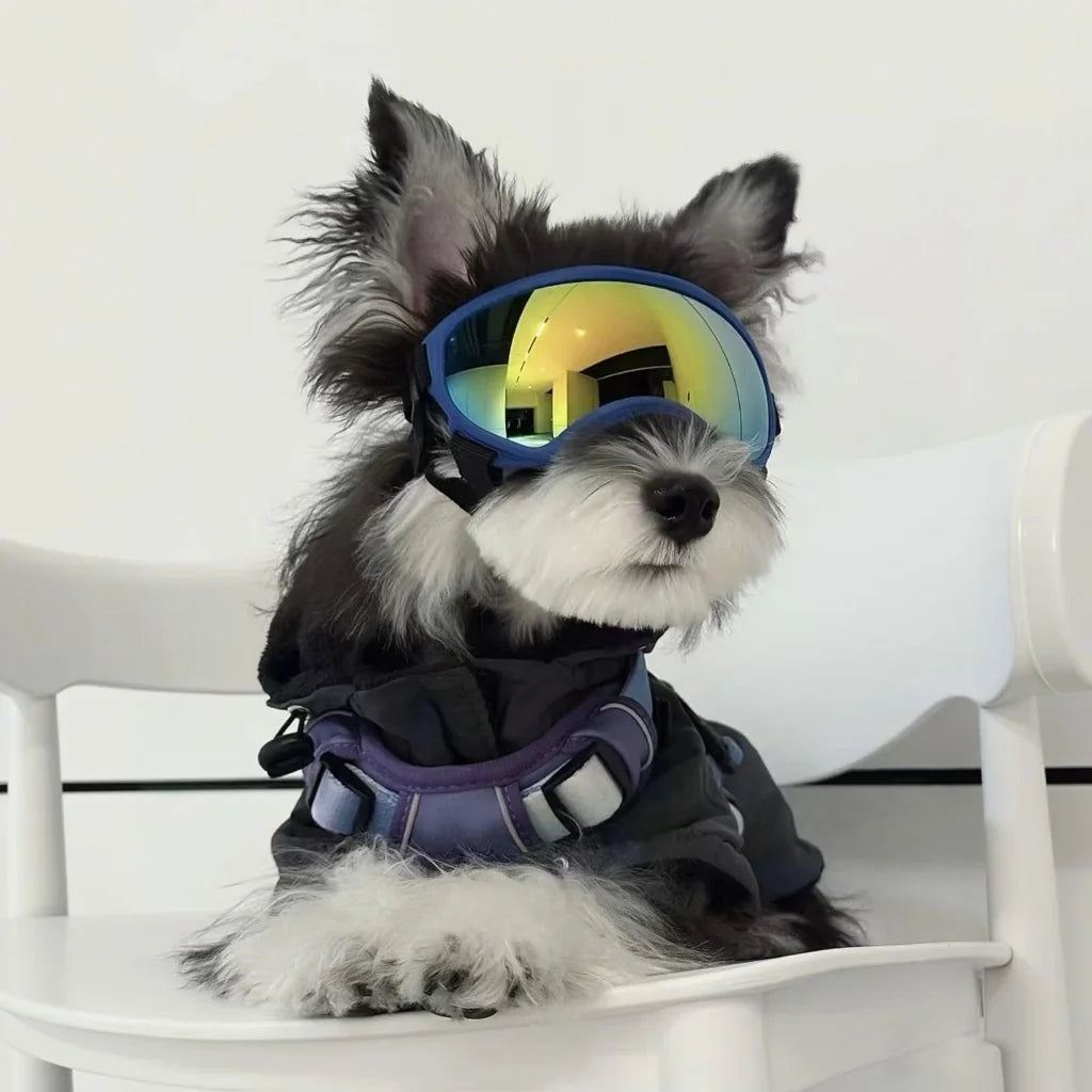 PawShield Dog Goggles UV Protection Sunglasses