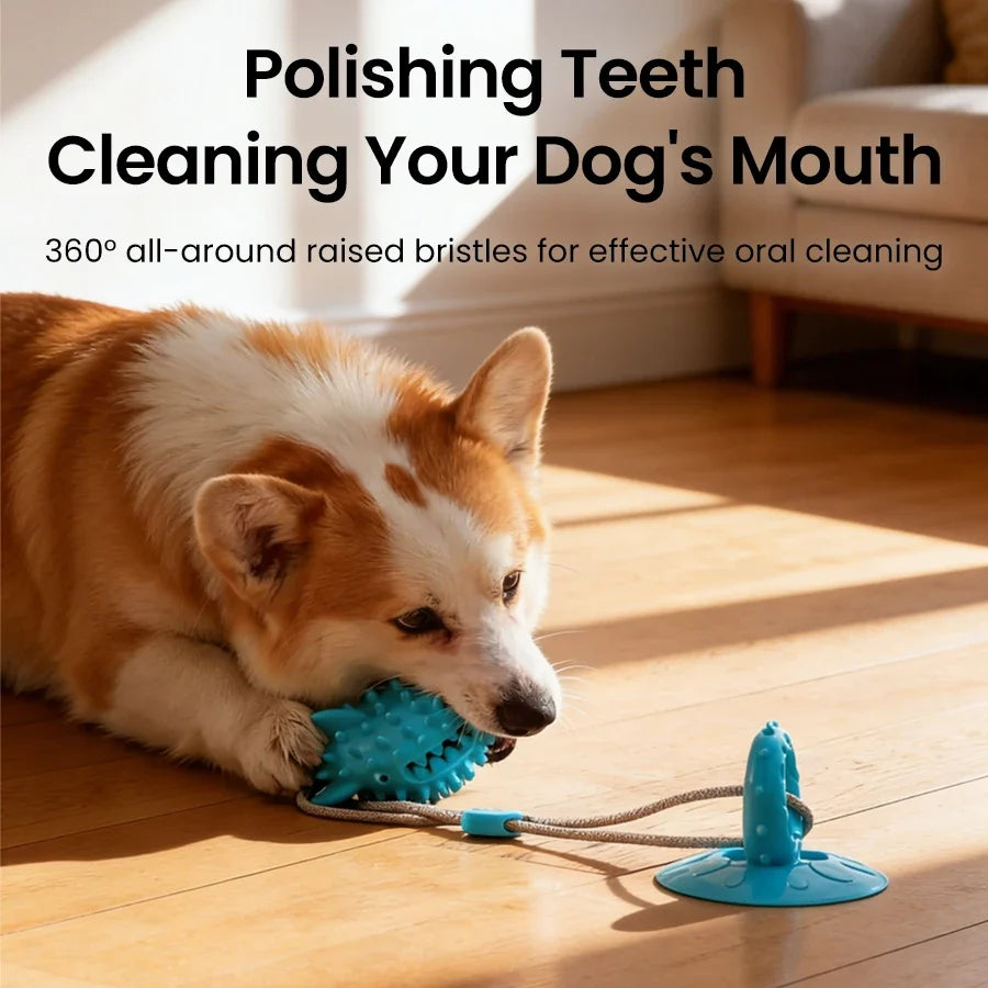TugMaster – Interactive Suction Tug Toy 🐶💪