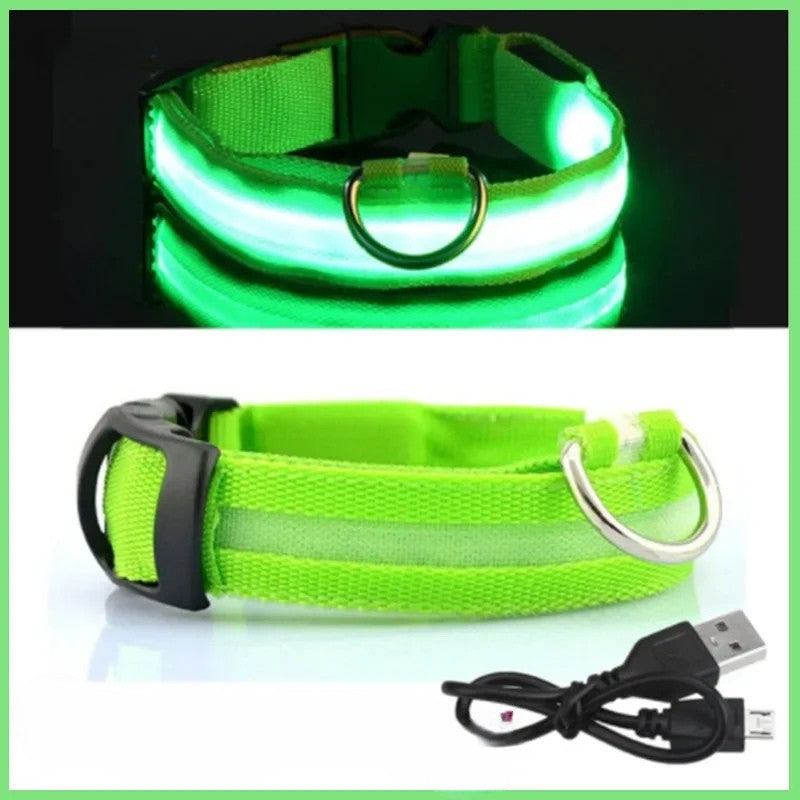 LED Luminous Dog Collar – USB Rechargeable & Detachable Night Safety Collar for Pets