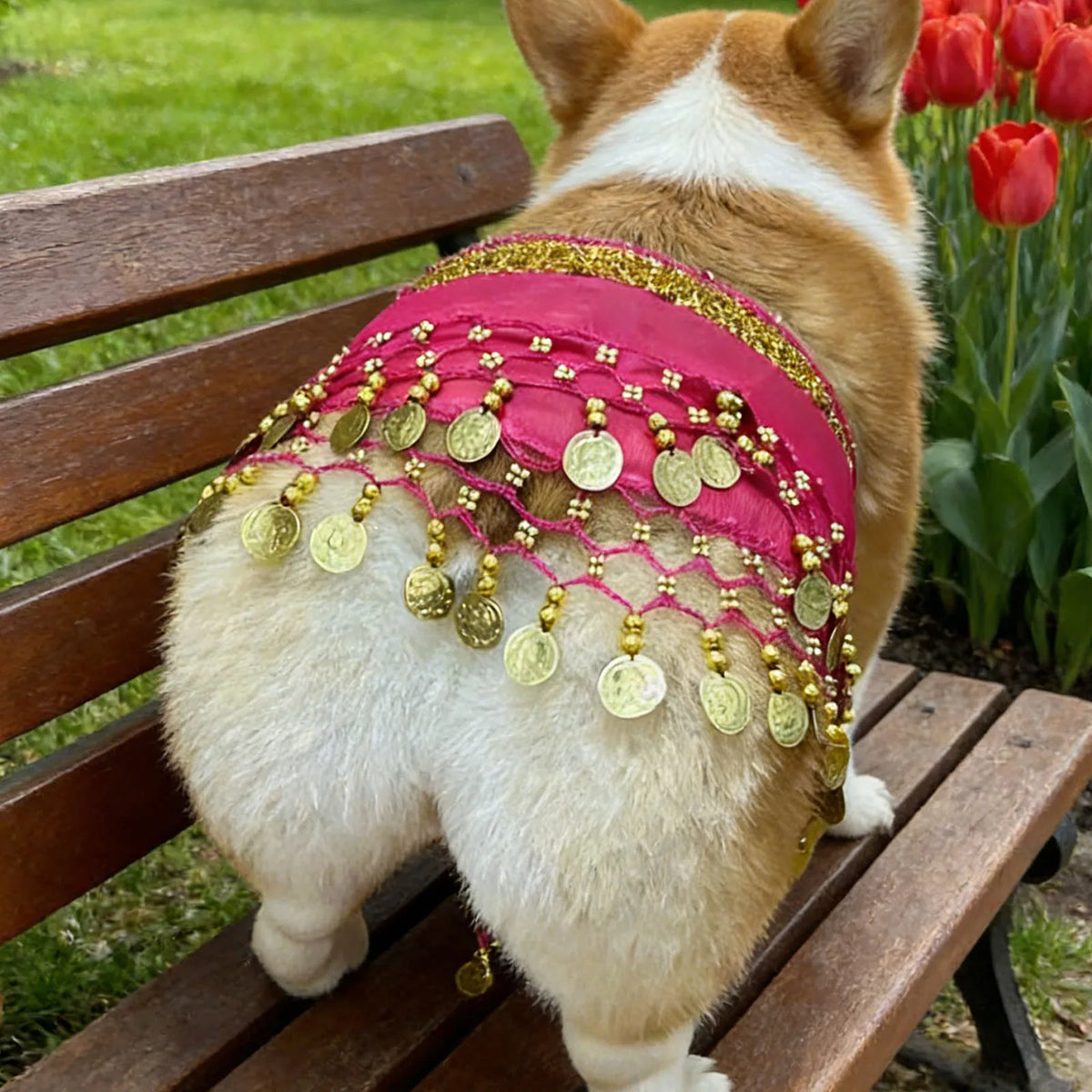DanceTail – Sequin Pet Belly Dance Skirt 💃🐶