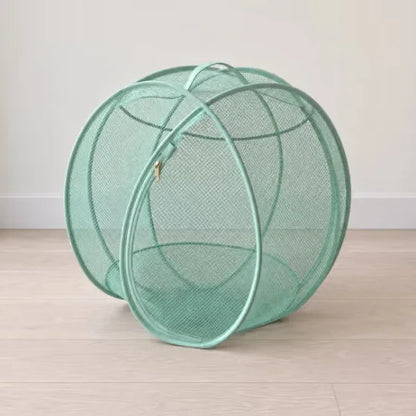 RollyBall – Pop-Up Rolling Cat Playpen 🐱🌐