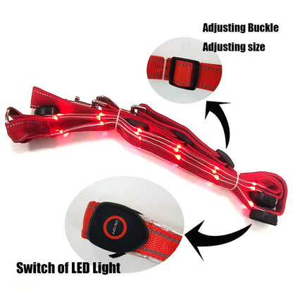 NightRider LED Horse Light Set