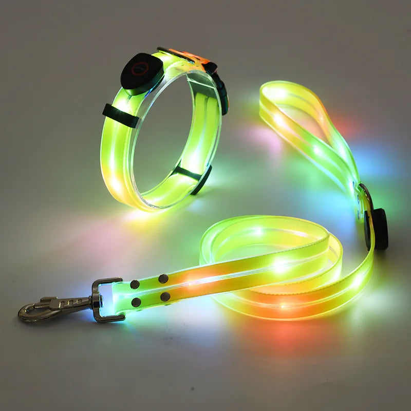 GlowWalk LED Dog Collar & Leash Set | USB Rechargeable Light-Up Walking Lead