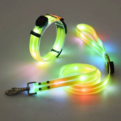 GlowWalk LED Dog Collar & Leash Set | USB Rechargeable Light-Up Walking Lead