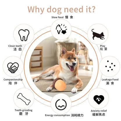 AcornBite – Interactive Treat Puzzle 🐶🌰