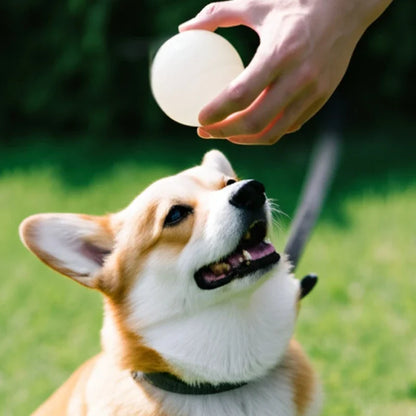 GlowBounce – Glow-in-the-Dark Dog Balls 🌙🎾