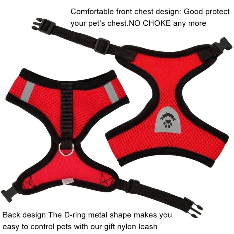 Cat Harness with Leash