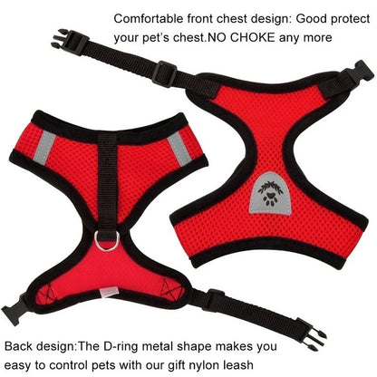 Cat Harness with Leash