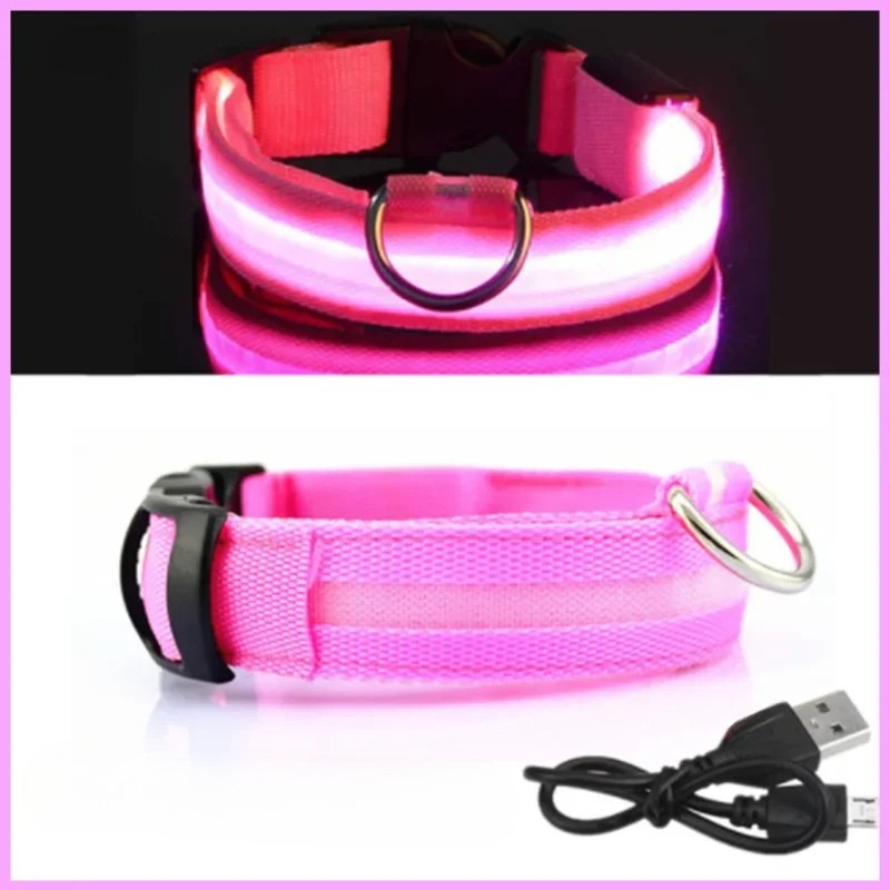 LED Luminous Dog Collar – USB Rechargeable & Detachable Night Safety Collar for Pets