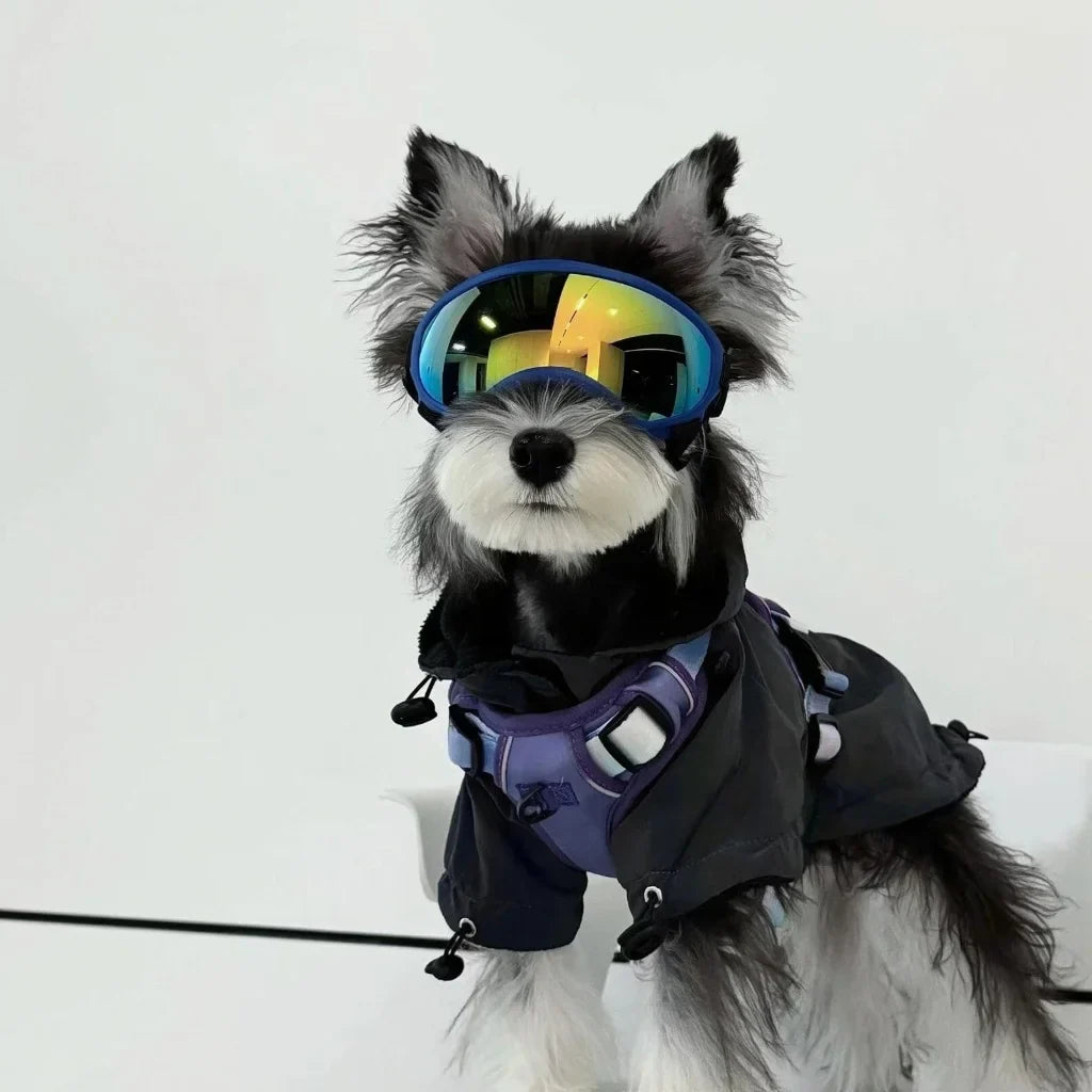 PawShield Dog Goggles UV Protection Sunglasses