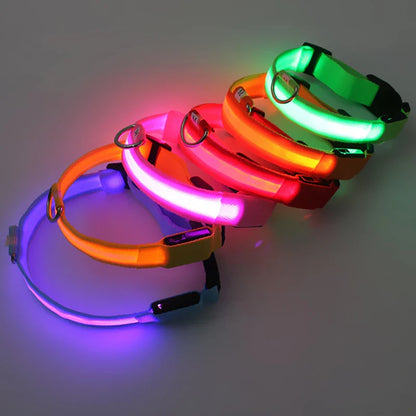 LED Luminous Dog Collar – USB Rechargeable & Detachable Night Safety Collar for Pets