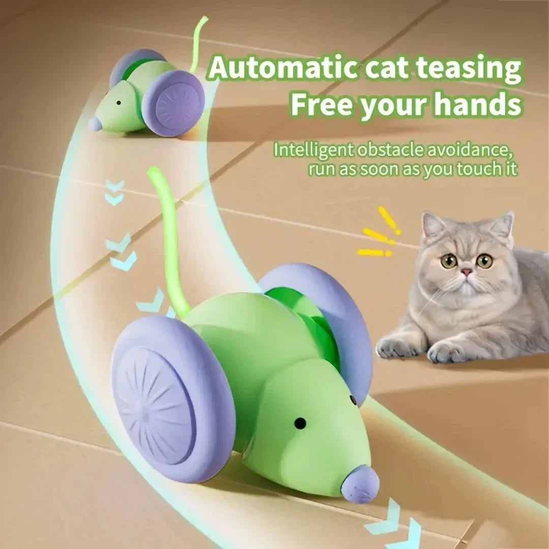 Interactive Electric Mouse Toy