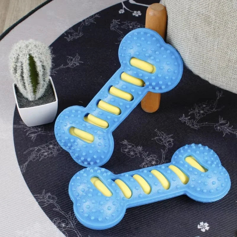 Squeaky Rubber Bone Chew Toy