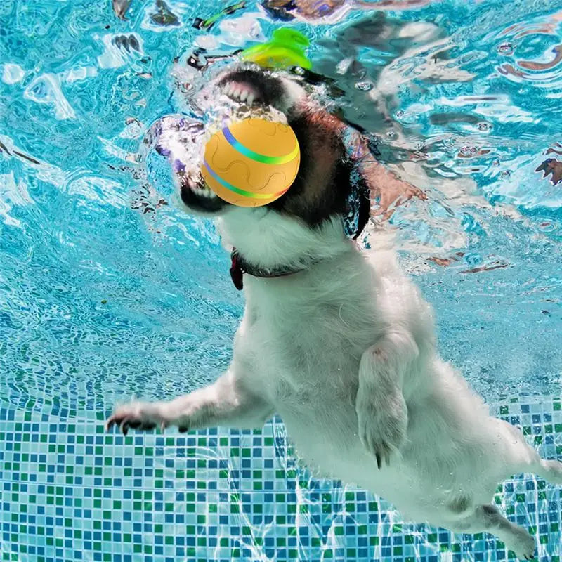 Smart Interactive Rolling Ball Toy for Dogs & Cats