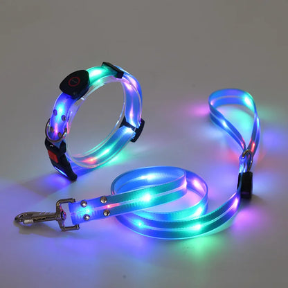 GlowWalk LED Dog Collar & Leash Set | USB Rechargeable Light-Up Walking Lead