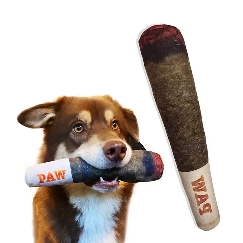 PuffPal Novelty Squeaky Dog Toy