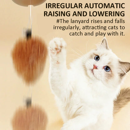 CappyPlay Smart Pet Toy