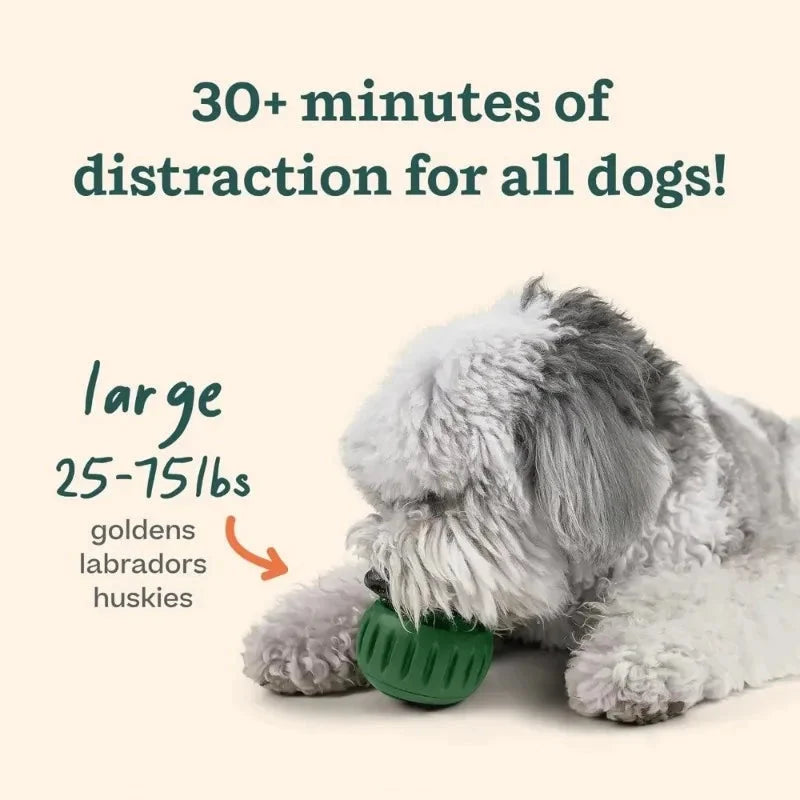 PawLick Treat Enrichment Toy for Dogs & Puppies