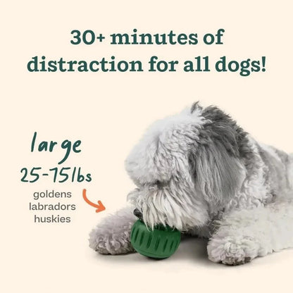 PawLick Treat Enrichment Toy for Dogs & Puppies